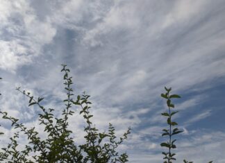 Quinta-feira (28) será de céu nublado em Amambai