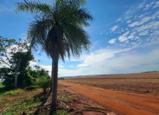 Sexta-feira (29) será de céu aberto em Amambai