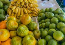 Exportação de frutas frescas pode ultrapassar US$ 1 bilhão em 2026