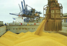 Tarifa dos EUA atingirá 36,5% das exportações do agro brasileiro