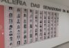 Candidaturas femininas ao Senado crescem e chegam a todos os Estados
