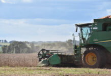 China se consolida como maior parceiro comercial do agro de MS