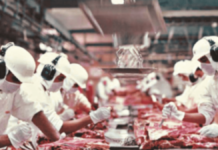 Indústria de carne vê oportunidade em nova cota dos EUA