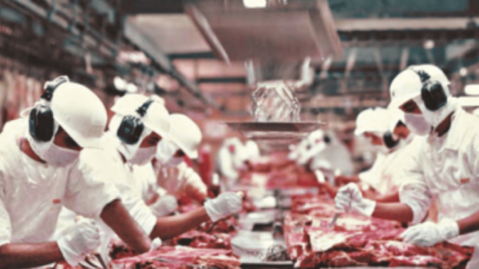 Indústria de carne vê oportunidade em nova cota dos EUA_6a92e58219197.png