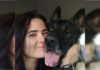 Veterinária morre após ser atacada por cão do canil do Senado Federal