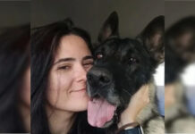 Veterinária morre após ser atacada por cão do canil do Senado Federal